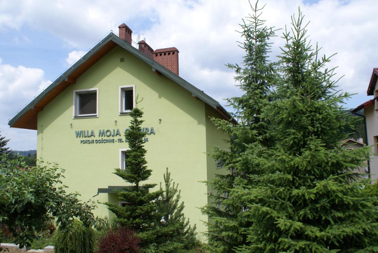 Willa Moja Gawra Lądek-Zdrój エクステリア 写真