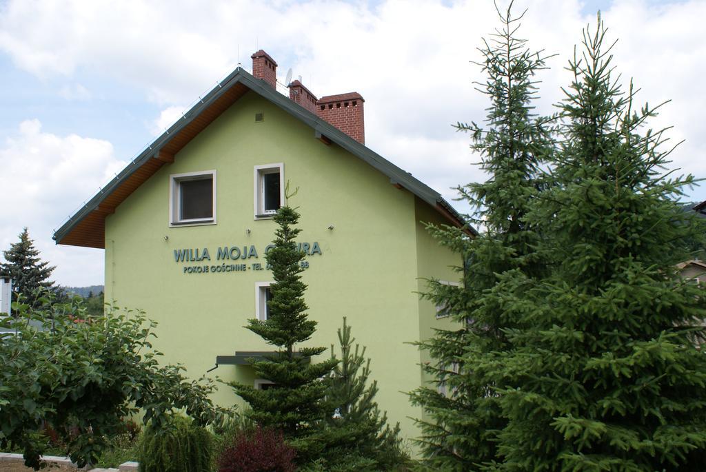 Willa Moja Gawra Lądek-Zdrój エクステリア 写真