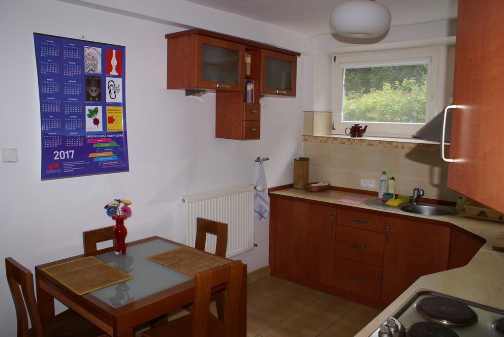 Willa Moja Gawra Lądek-Zdrój 部屋 写真